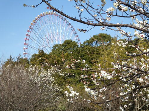 葛西臨海公園にて