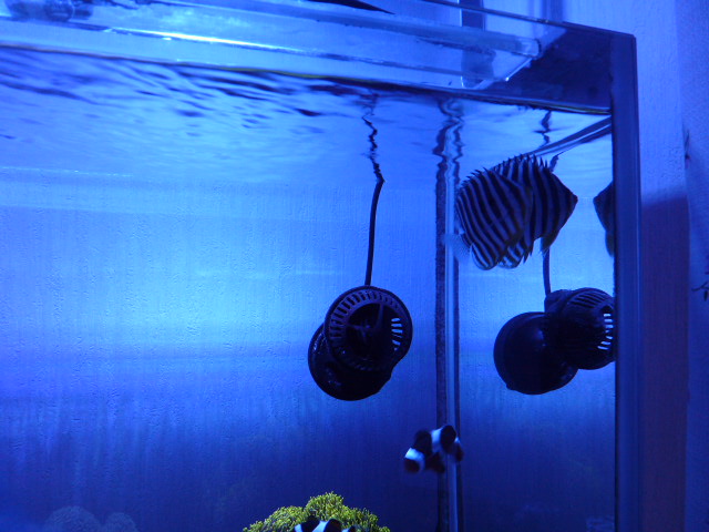 P1070135.JPG