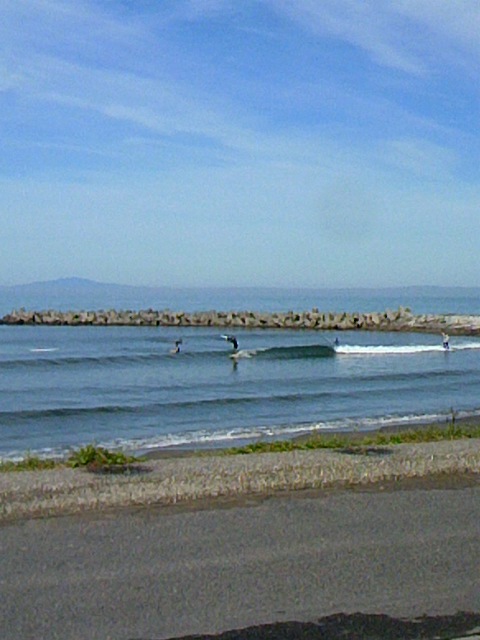 TS3Y1132.JPG