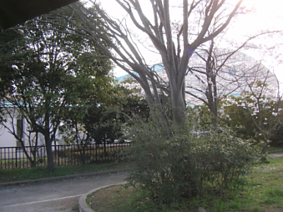 PICT1272.png