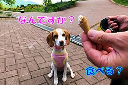 20150521初めてのソフトクリーム