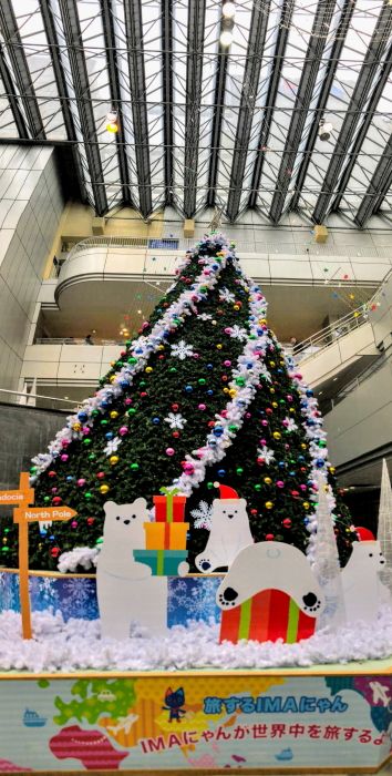 「12月コミュ ポケモンGO」の画像検索結果