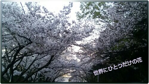 rblog-20160405211516-00.jpg