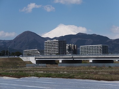 20140321足柄紫水大橋