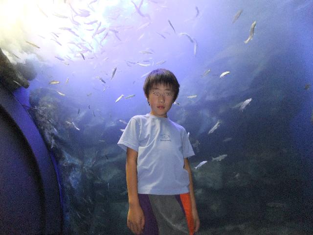 Dscf1748.jpg