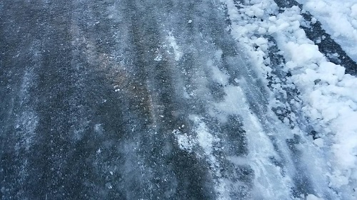 3497.jpg