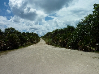 s-P1020725.jpg