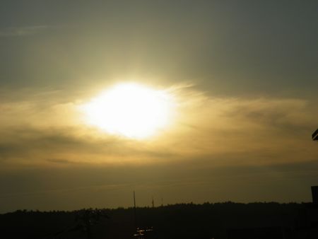 DSCF8213-450.jpg