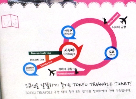 20130122 tokyu shibuya tatsujin at DMC station 3.jpg