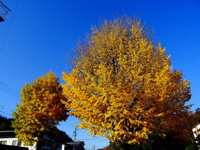 DSC08118_R.JPG