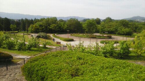 rblog-20150605155404-02.jpg