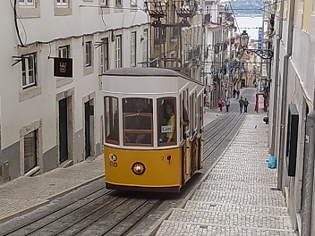 RIMG0223.JPG