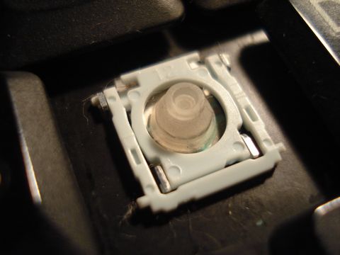 pnt_3894.JPG