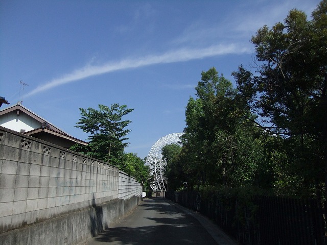 DSCF2207.jpg
