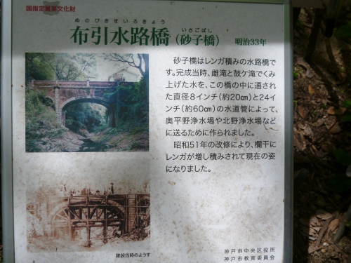 025 (500x375).jpg