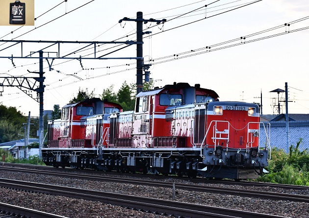 DSC_6356.JPG