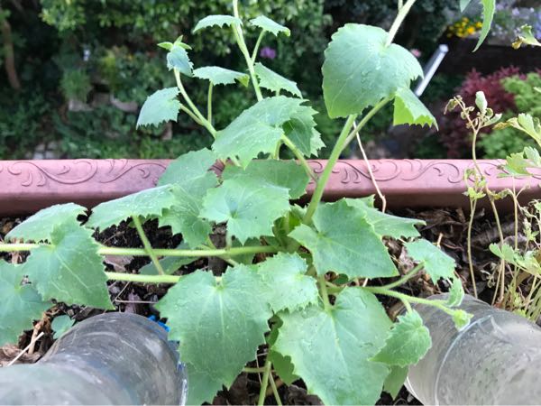 rblog-20190423182704-05.jpg