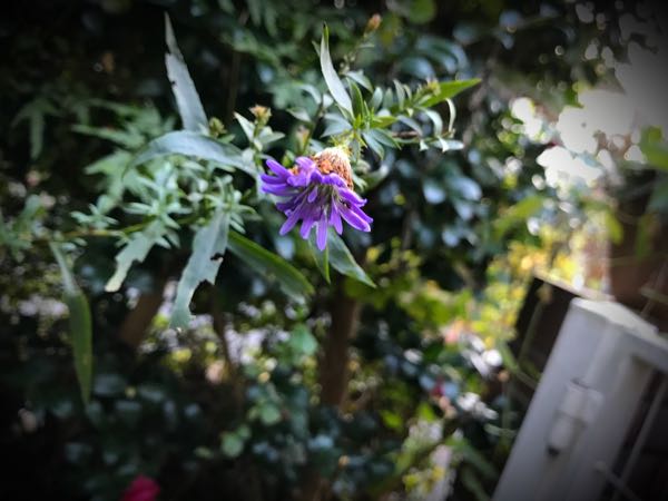 rblog-20161128164954-08.jpg