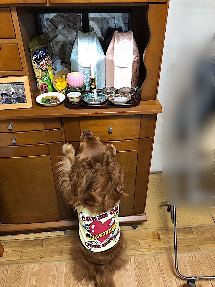 rblog-20181006212855-04.jpg