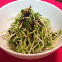 豆苗と紫蘇漬けの和え物