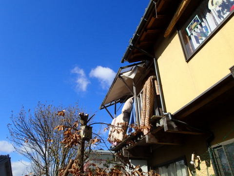 niwa131208003