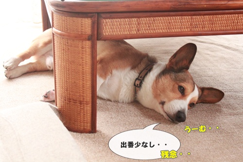 IMG010708.JPG