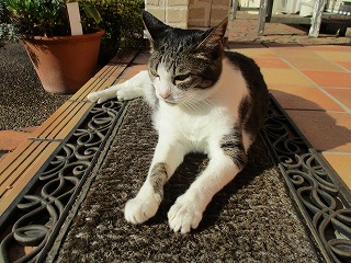 IMG_0661ss.jpg