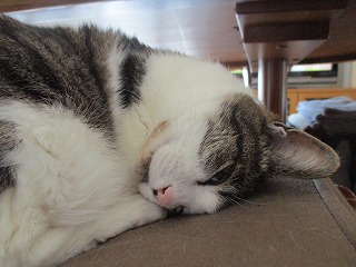 IMG_6180ss.jpg