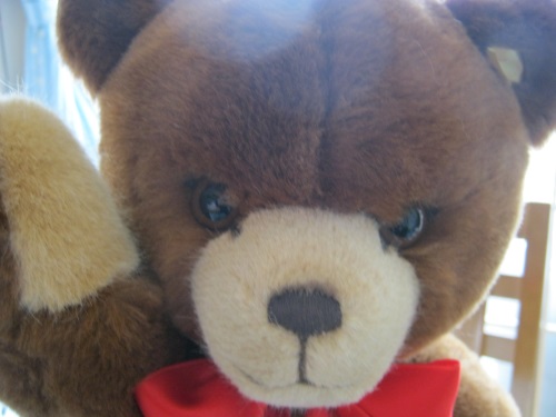 シュタイフ　ペッツィ　45cm