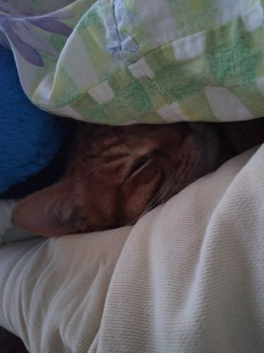 rblog-20180224203857-02.jpg