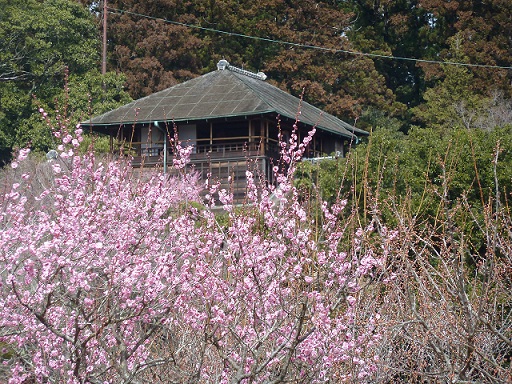 2015.3.4 涸沼・偕楽園 025.JPG