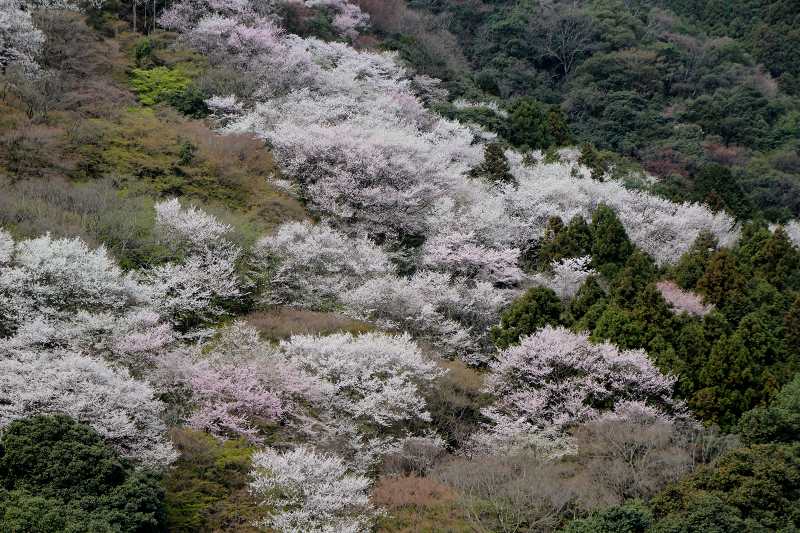 嵐山公園展望台_21-2.jpg