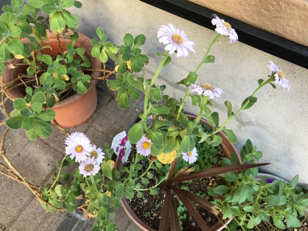 rblog-20181029111459-04.jpg