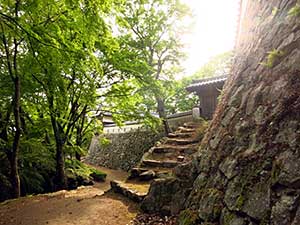 IMG_2507.jpg