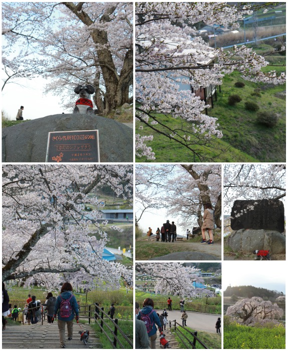 150419_07.jpg