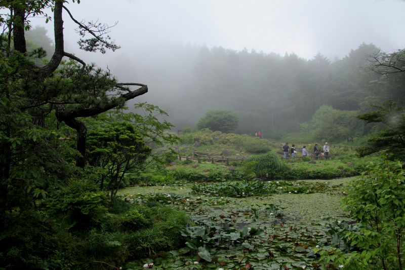 六甲山高山植物園_07.jpg