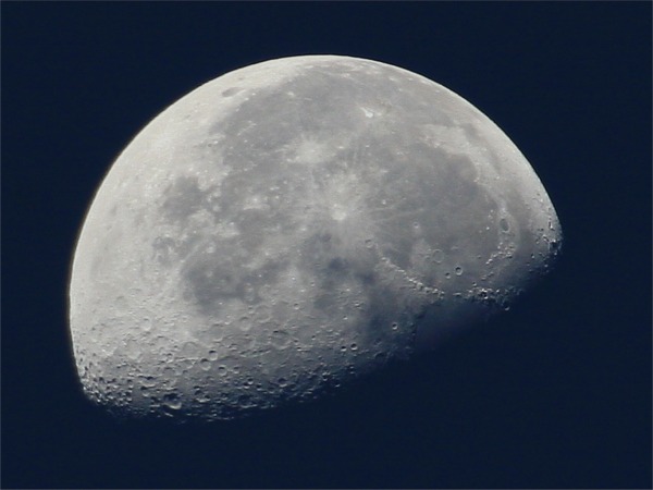 IMG_6263 7日 5時半 天頂下弦の月.jpg