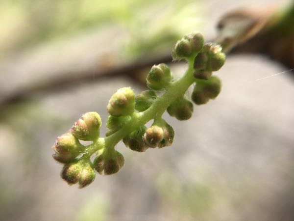 rblog-20170605235911-01.jpg