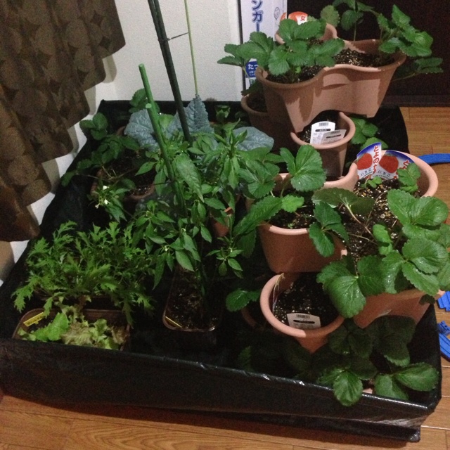 rblog-20131009101607-01.jpg