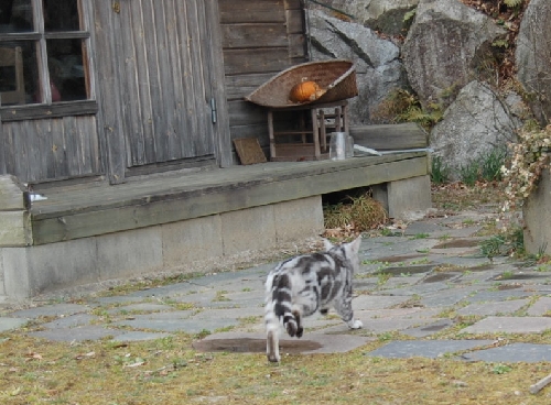 DSC_0154.JPG