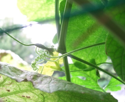 20150906.jpg