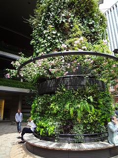 DSC01120.jpg