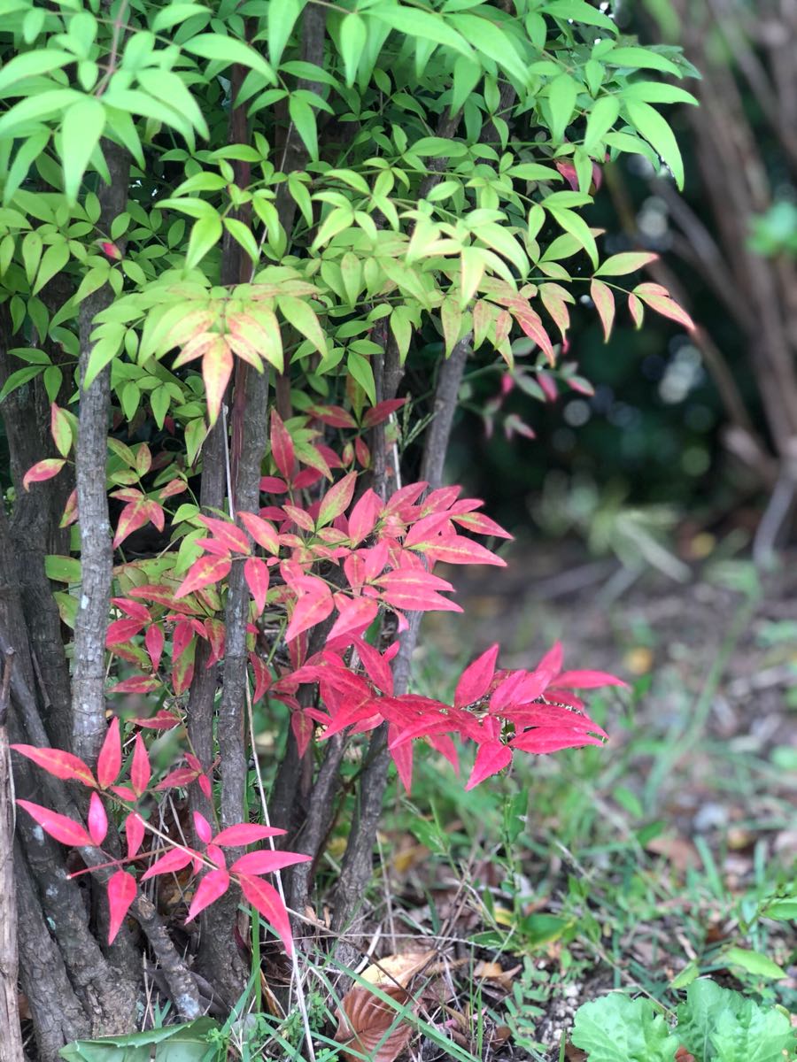 rblog-20181012112131-01.jpg