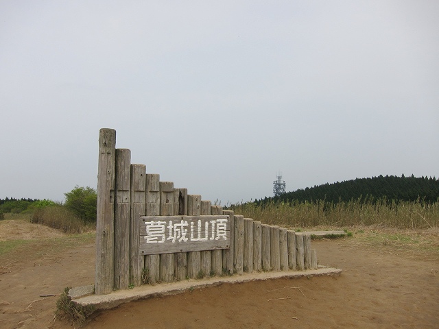 IMG_7319.jpg