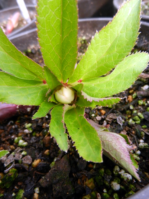 DSCN1073.JPG