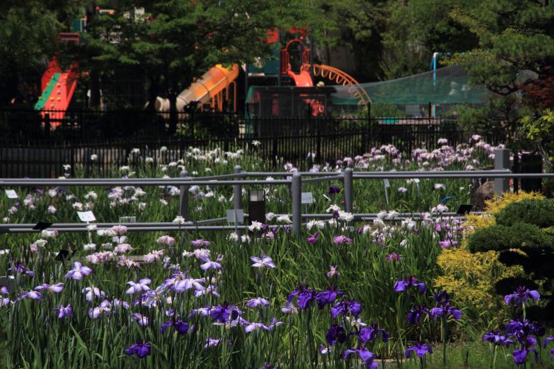 水月公園_002.jpg