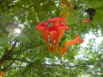 DSCN9870.jpg