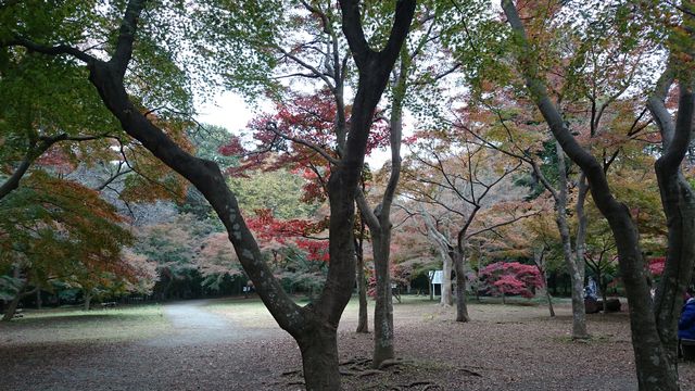 2015-11-22 09.28.58.jpg