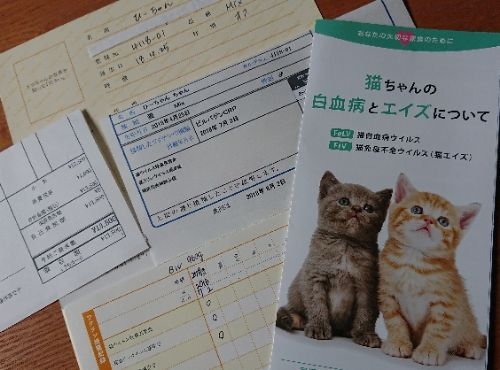 rblog-20180702120506-00.jpg