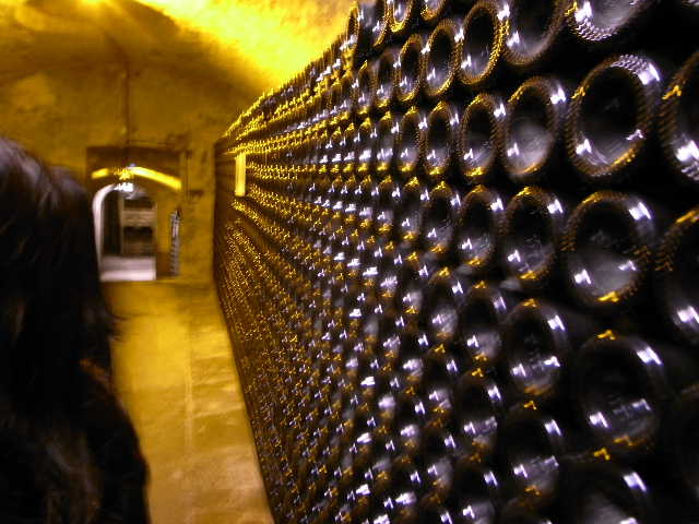 RIMG22471.JPG